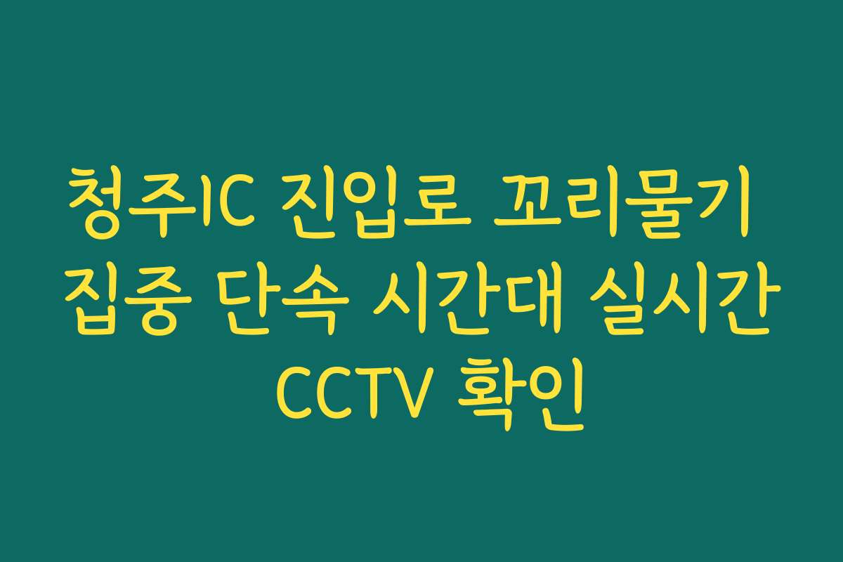 청주IC 진입로 꼬리물기 집중 단속 시간대 실시간 CCTV 확인