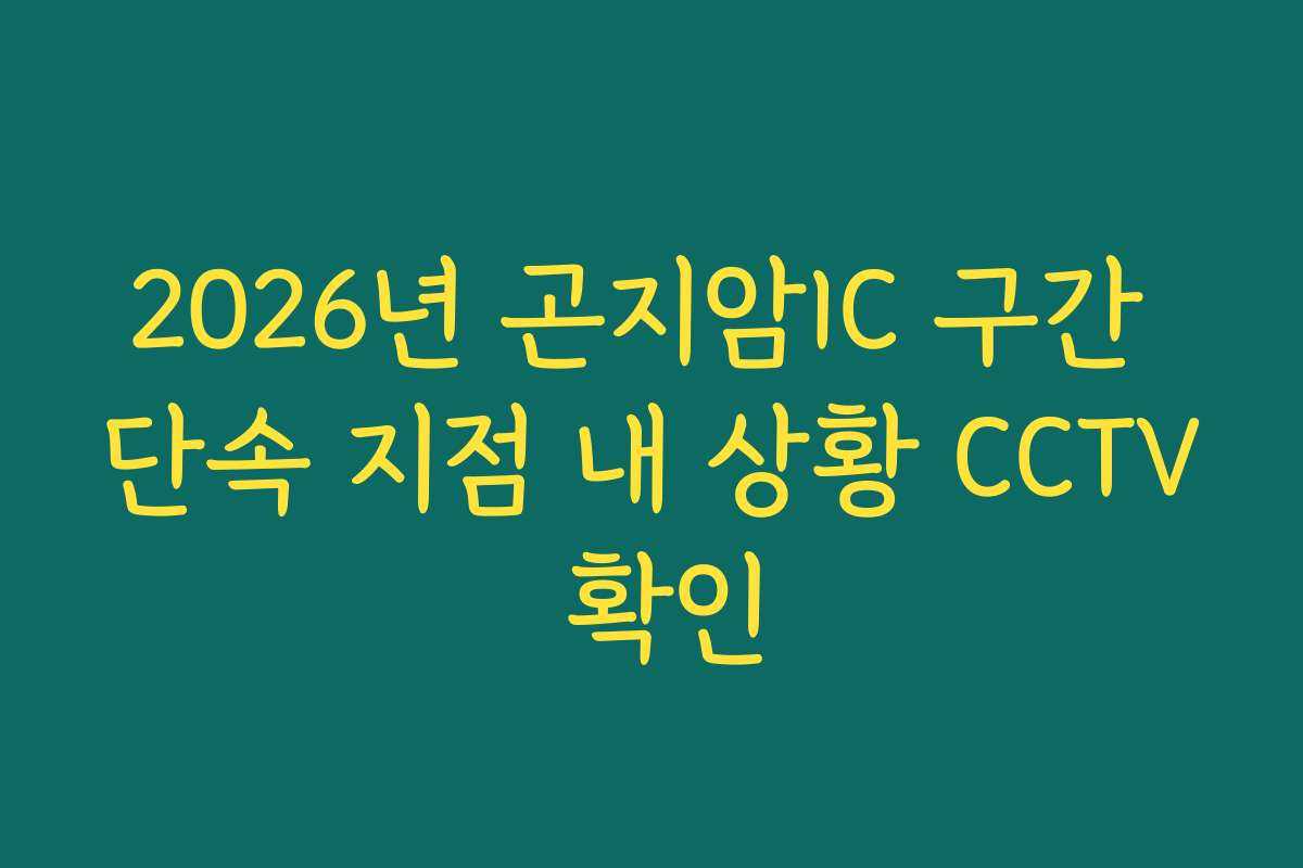 2026년 곤지암IC 구간 단속 지점 내 상황 CCTV 확인