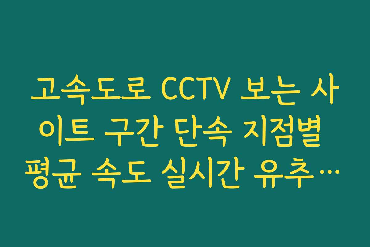 고속도로 CCTV 보는 사이트 구간 단속 지점별 평균 속도 실시간 유추 가이드
