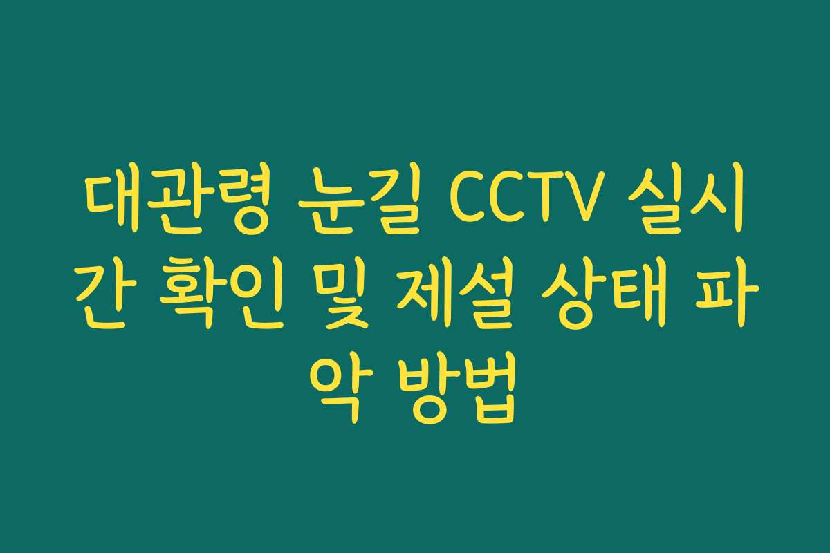 대관령 눈길 CCTV 실시간 확인 및 제설 상태 파악 방법