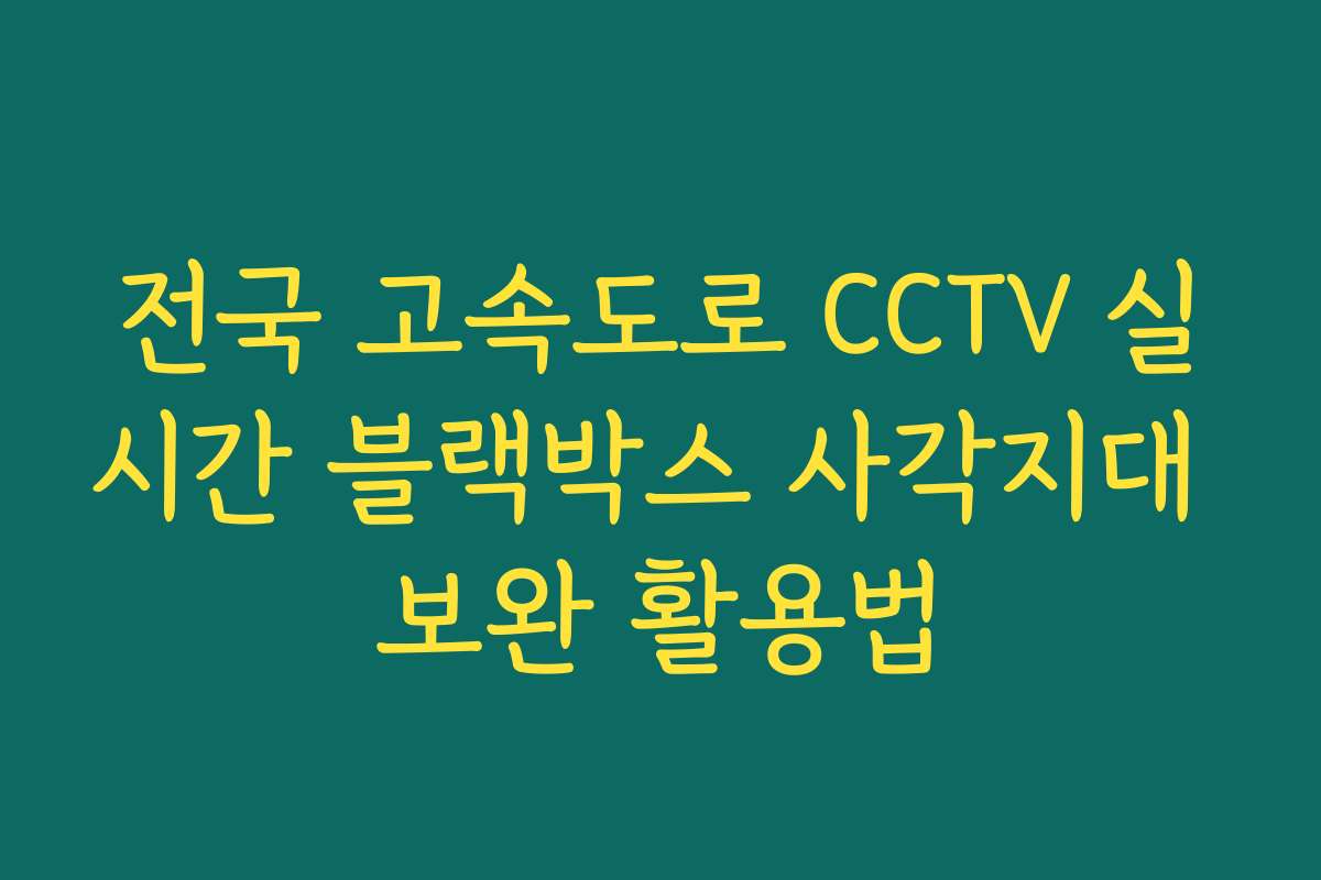 전국 고속도로 CCTV 실시간 블랙박스 사각지대 보완 활용법