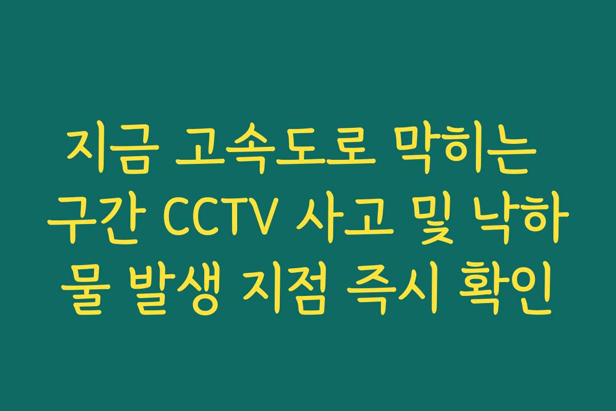 지금 고속도로 막히는 구간 CCTV 사고 및 낙하물 발생 지점 즉시 확인