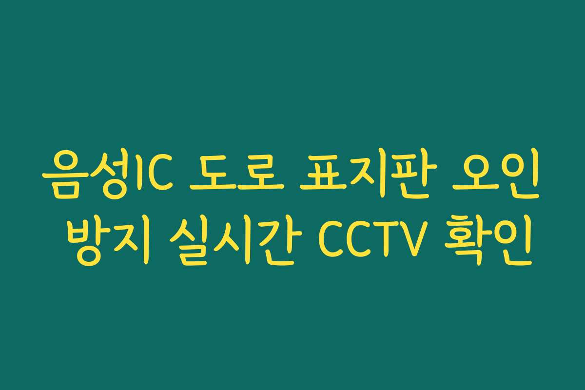 음성IC 도로 표지판 오인 방지 실시간 CCTV 확인