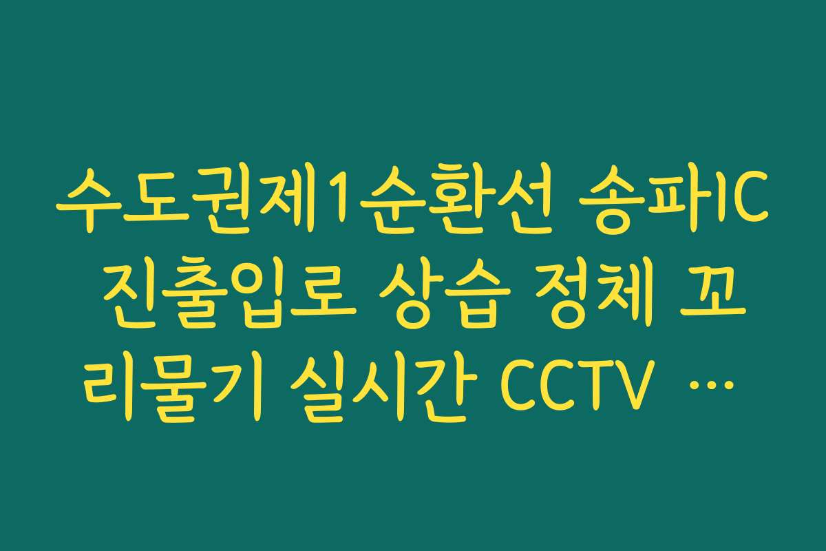 수도권제1순환선 송파IC 진출입로 상습 정체 꼬리물기 실시간 CCTV 확인