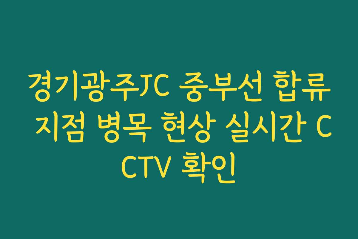 경기광주JC 중부선 합류 지점 병목 현상 실시간 CCTV 확인