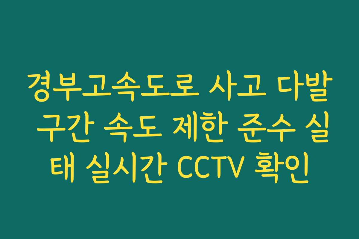 경부고속도로 사고 다발 구간 속도 제한 준수 실태 실시간 CCTV 확인
