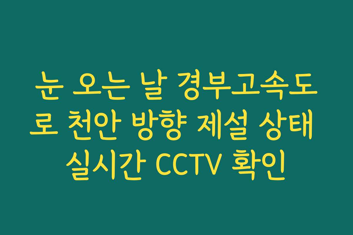 눈 오는 날 경부고속도로 천안 방향 제설 상태 실시간 CCTV 확인
