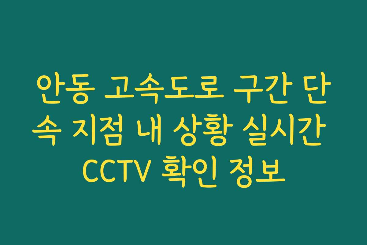 안동 고속도로 구간 단속 지점 내 상황 실시간 CCTV 확인 정보