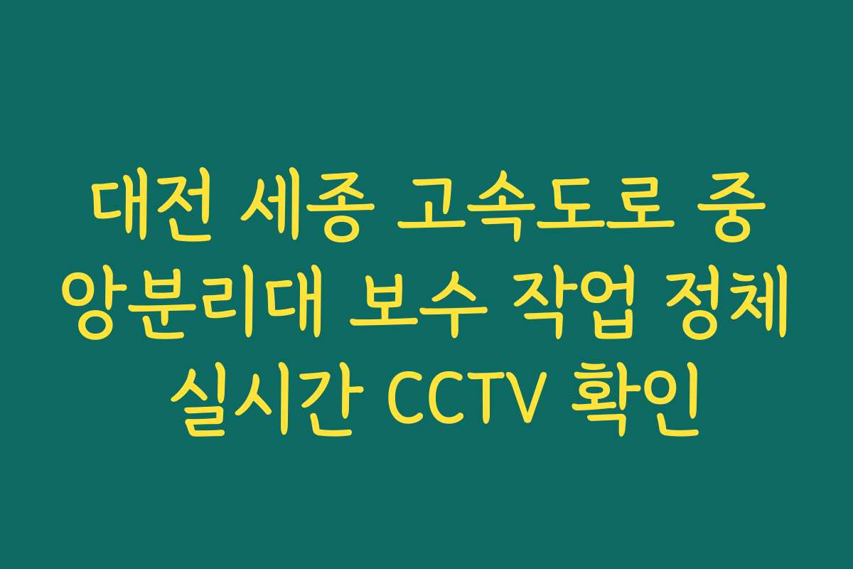 대전 세종 고속도로 중앙분리대 보수 작업 정체 실시간 CCTV 확인