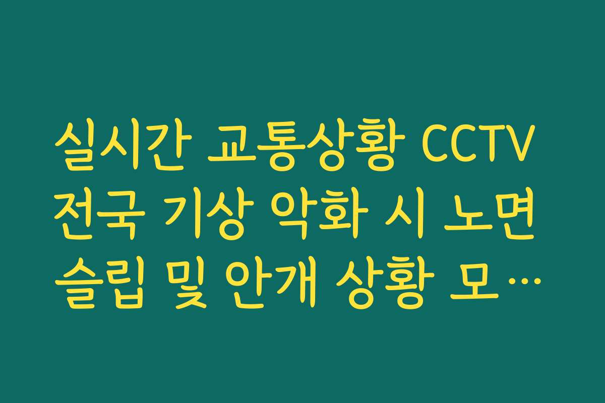 실시간 교통상황 CCTV 전국 기상 악화 시 노면 슬립 및 안개 상황 모니터링