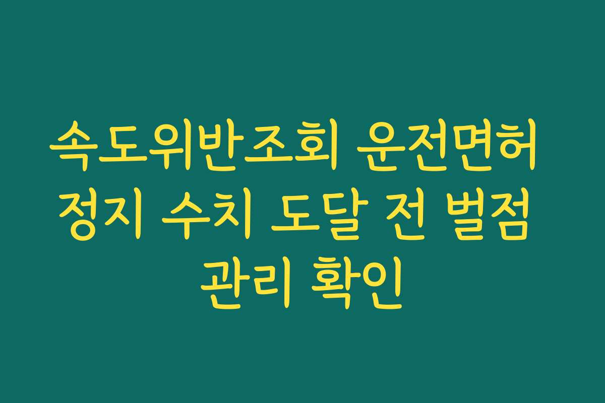 속도위반조회 운전면허 정지 수치 도달 전 벌점 관리 확인