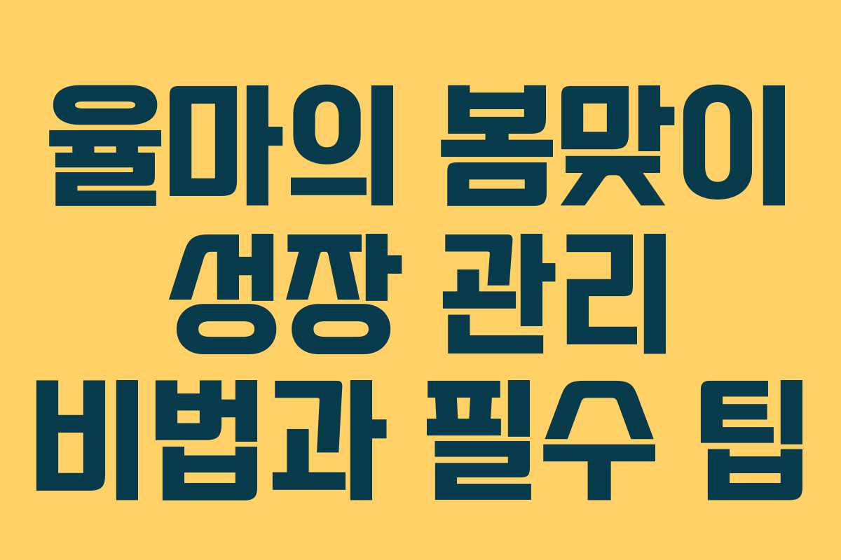 율마의 봄맞이 성장 관리 비법과 필수 팁