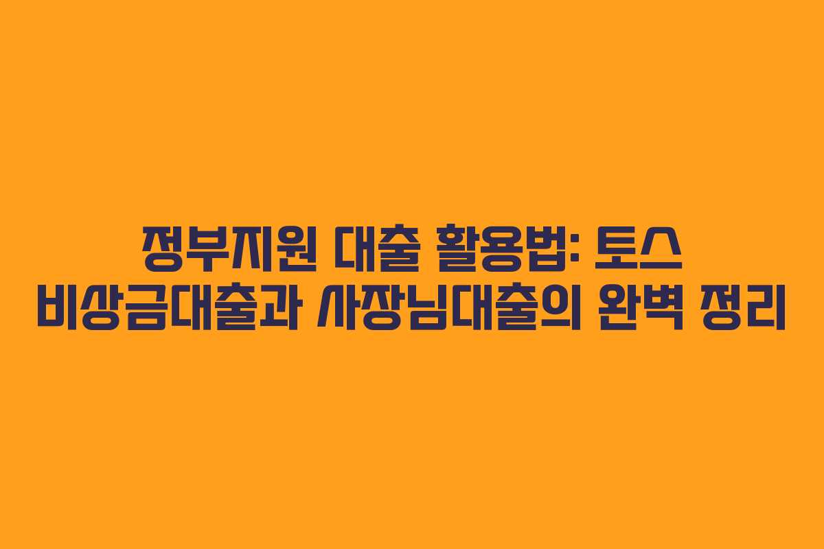 정부지원 대출 활용법: 토스 비상금대출과 사장님대출의 완벽 정리
