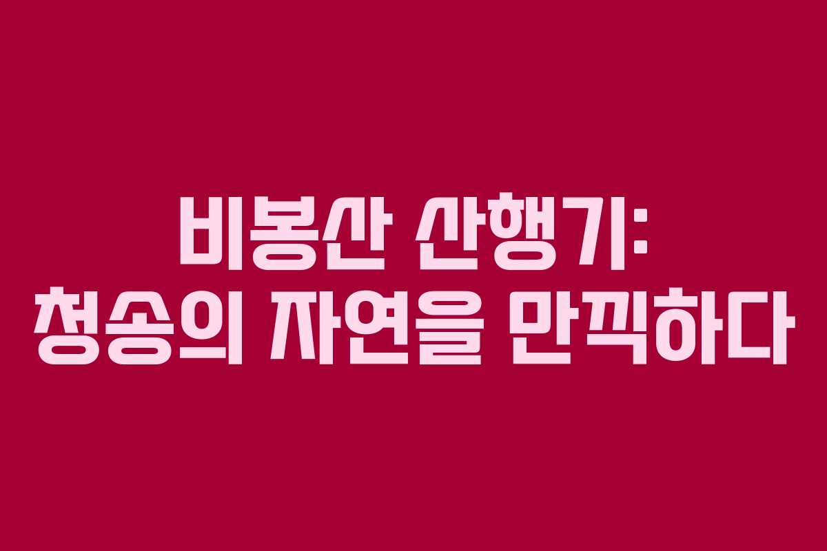 비봉산 산행기: 청송의 자연을 만끽하다