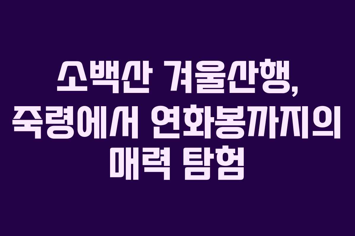 소백산 겨울산행, 죽령에서 연화봉까지의 매력 탐험