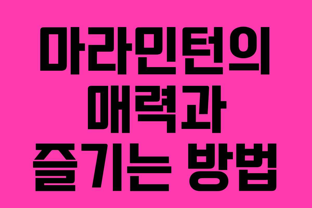 마라민턴의 매력과 즐기는 방법