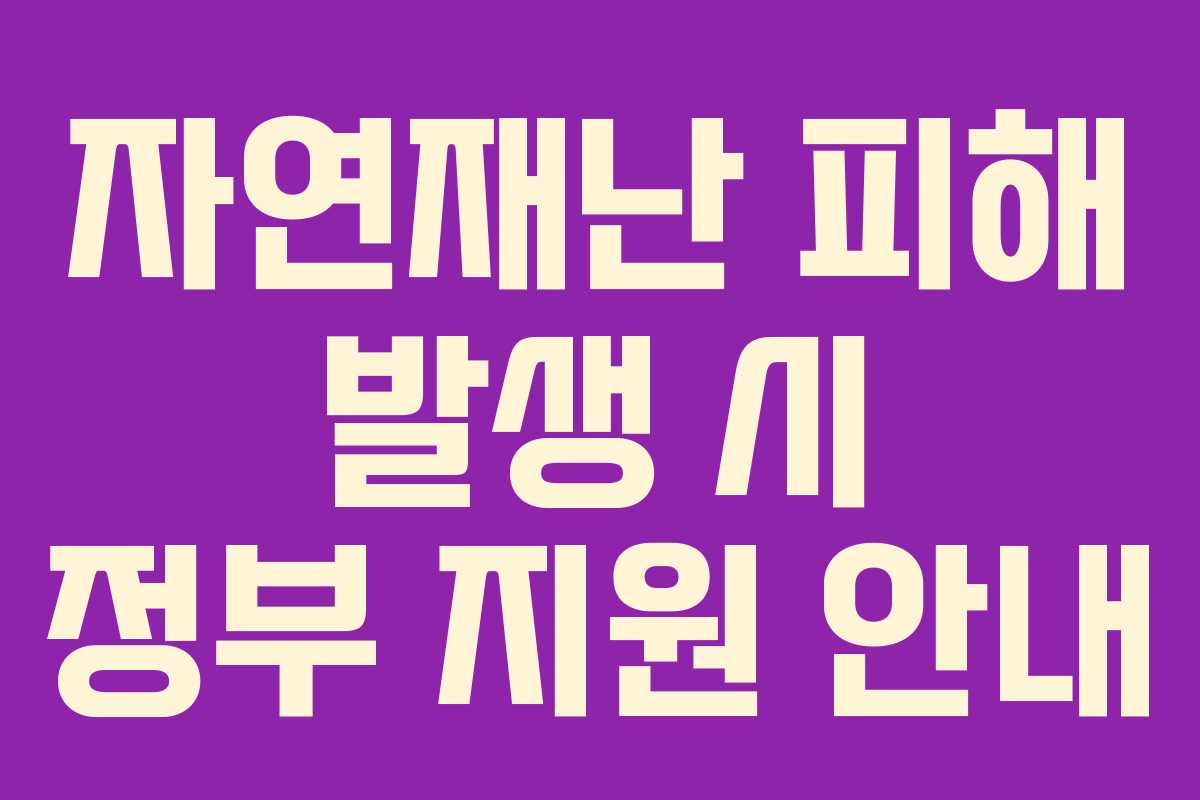 자연재난 피해 발생 시 정부 지원 안내