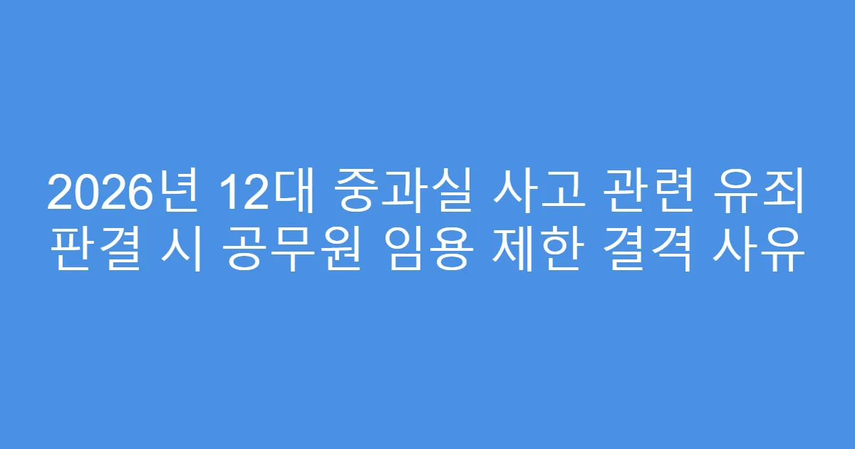 2026년 12대 중과실 사고 관련 유죄 판결 시 공무원 임용 제한 결격 사유