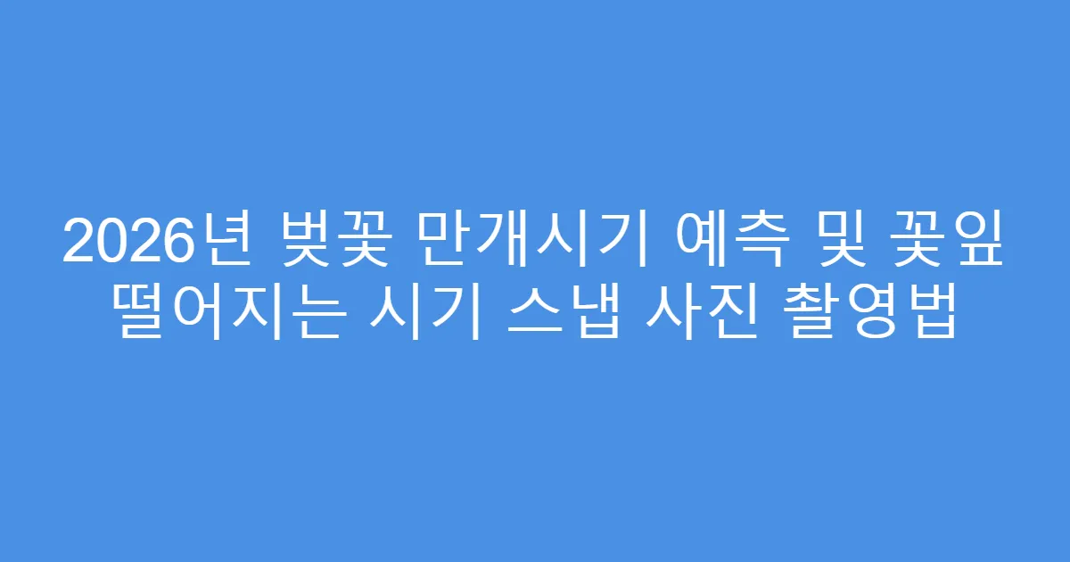 2026년 벚꽃 만개시기 예측 및 꽃잎 떨어지는 시기 스냅 사진 촬영법