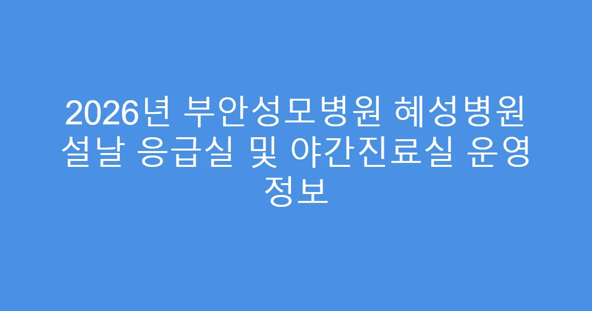 2026년 부안성모병원 혜성병원 설날 응급실 및 야간진료실 운영 정보
