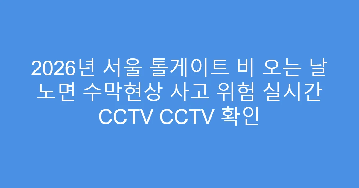 2026년 서울 톨게이트 비 오는 날 노면 수막현상 사고 위험 실시간 CCTV CCTV 확인