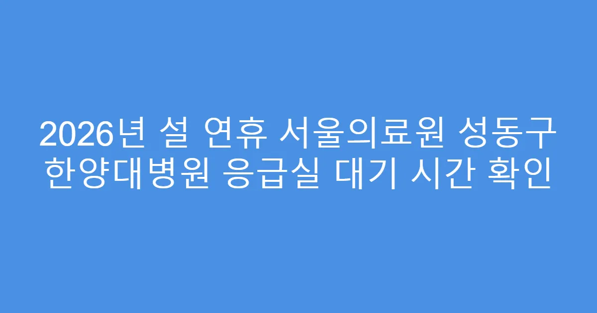 2026년 설 연휴 서울의료원 성동구 한양대병원 응급실 대기 시간 확인