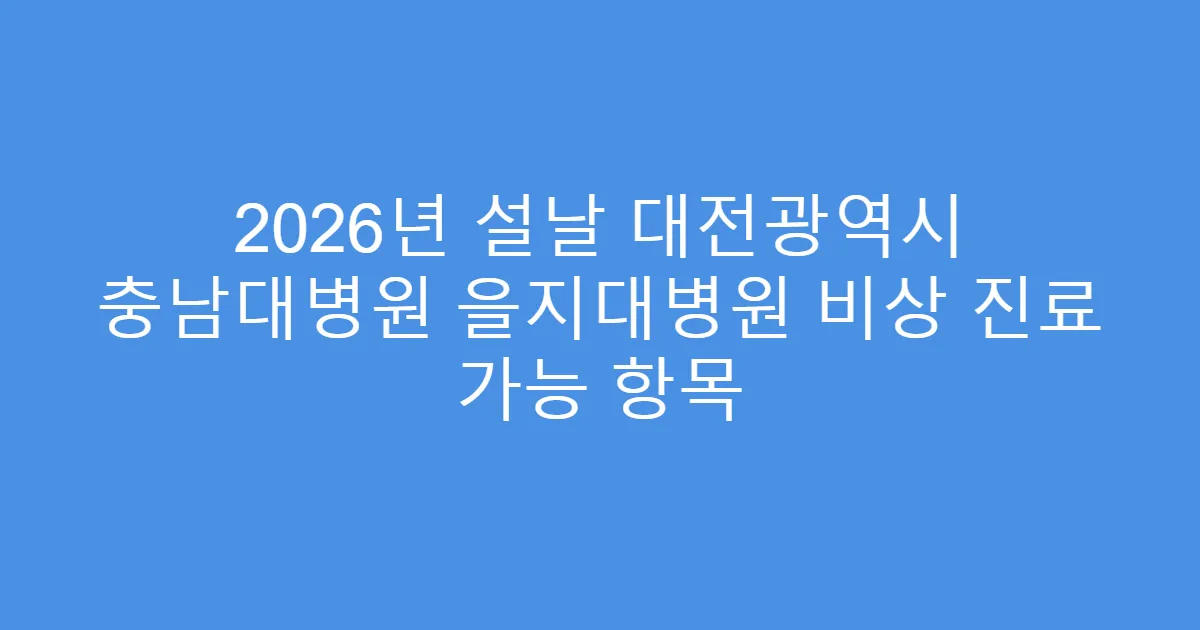 2026년 설날 대전광역시 충남대병원 을지대병원 비상 진료 가능 항목