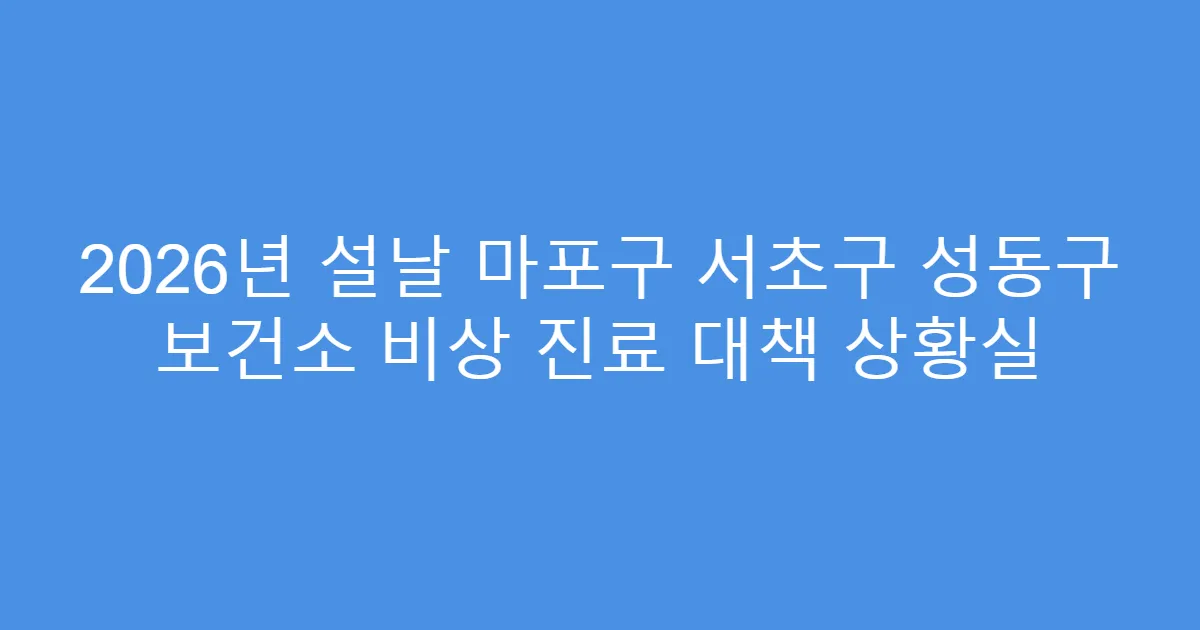 2026년 설날 마포구 서초구 성동구 보건소 비상 진료 대책 상황실