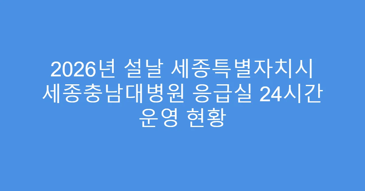 2026년 설날 세종특별자치시 세종충남대병원 응급실 24시간 운영 현황