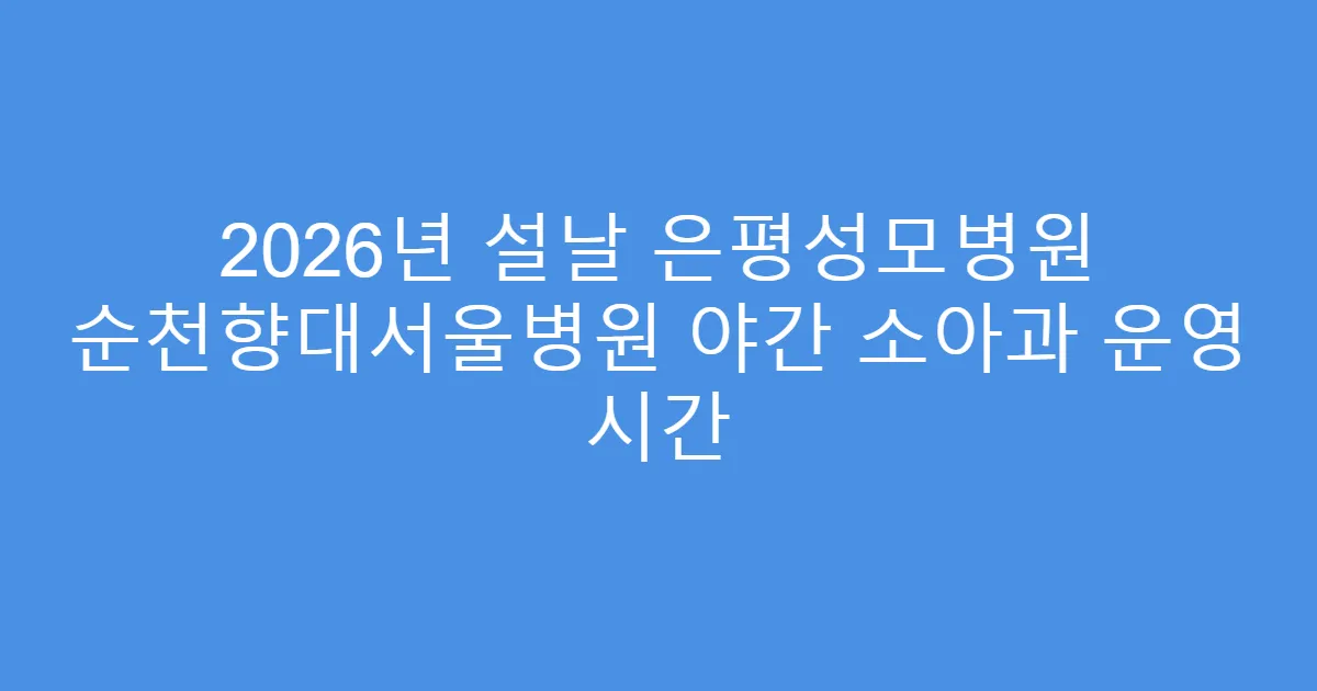 2026년 설날 은평성모병원 순천향대서울병원 야간 소아과 운영 시간