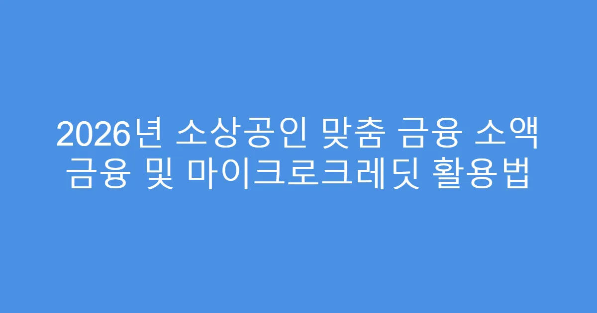 2026년 소상공인 맞춤 금융 소액 금융 및 마이크로크레딧 활용법