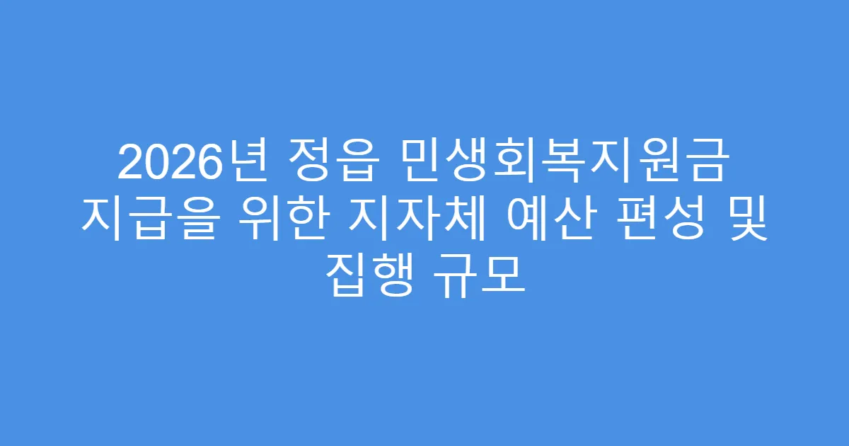 2026년 정읍 민생회복지원금 지급을 위한 지자체 예산 편성 및 집행 규모