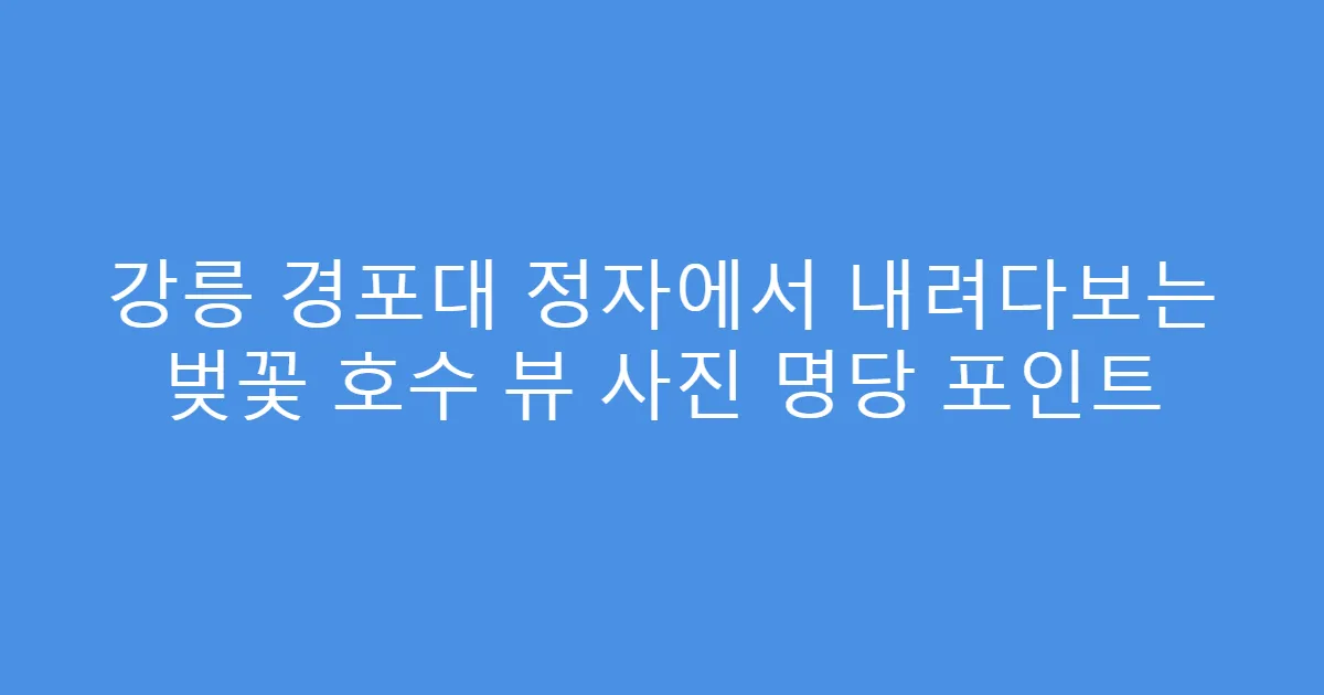 강릉 경포대 정자에서 내려다보는 벚꽃 호수 뷰 사진 명당 포인트