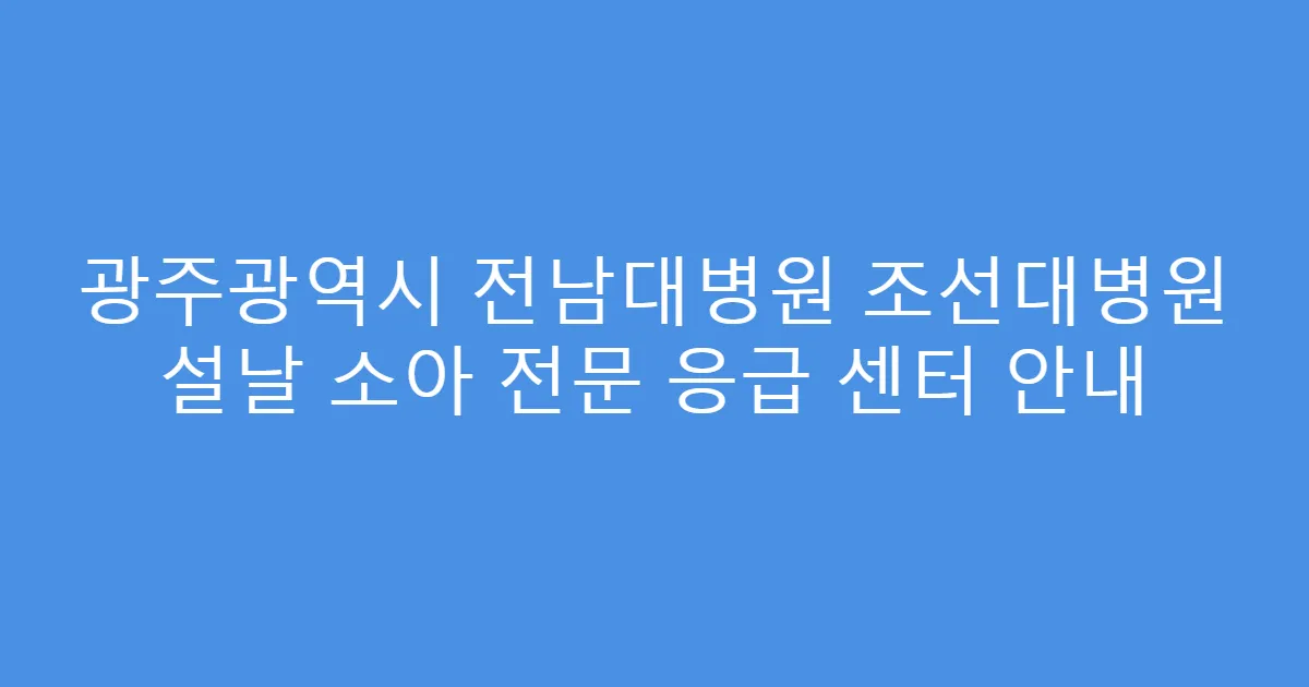 광주광역시 전남대병원 조선대병원 설날 소아 전문 응급 센터 안내
