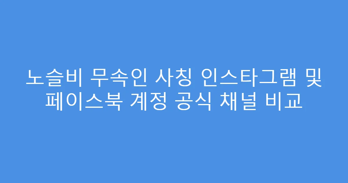 노슬비 무속인 사칭 인스타그램 및 페이스북 계정 공식 채널 비교
