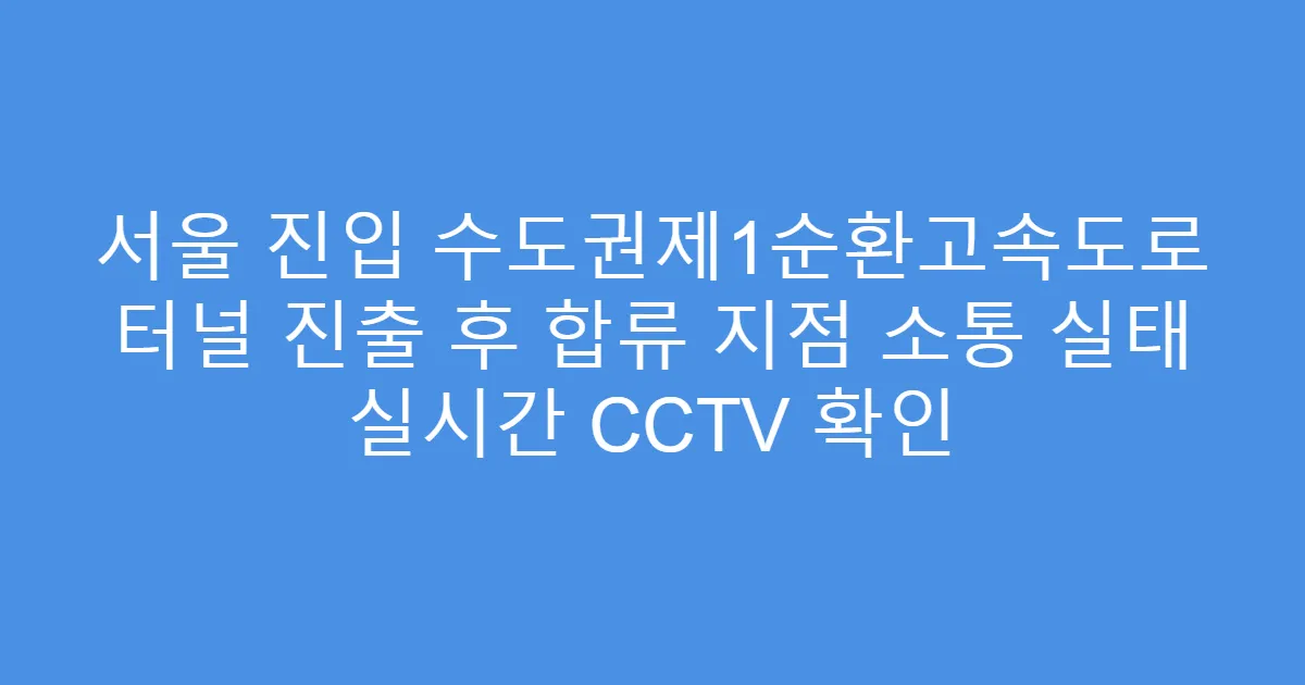 서울 진입 수도권제1순환고속도로 터널 진출 후 합류 지점 소통 실태 실시간 CCTV 확인