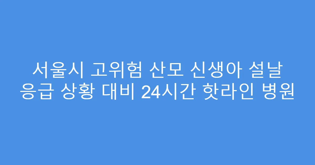 서울시 고위험 산모 신생아 설날 응급 상황 대비 24시간 핫라인 병원