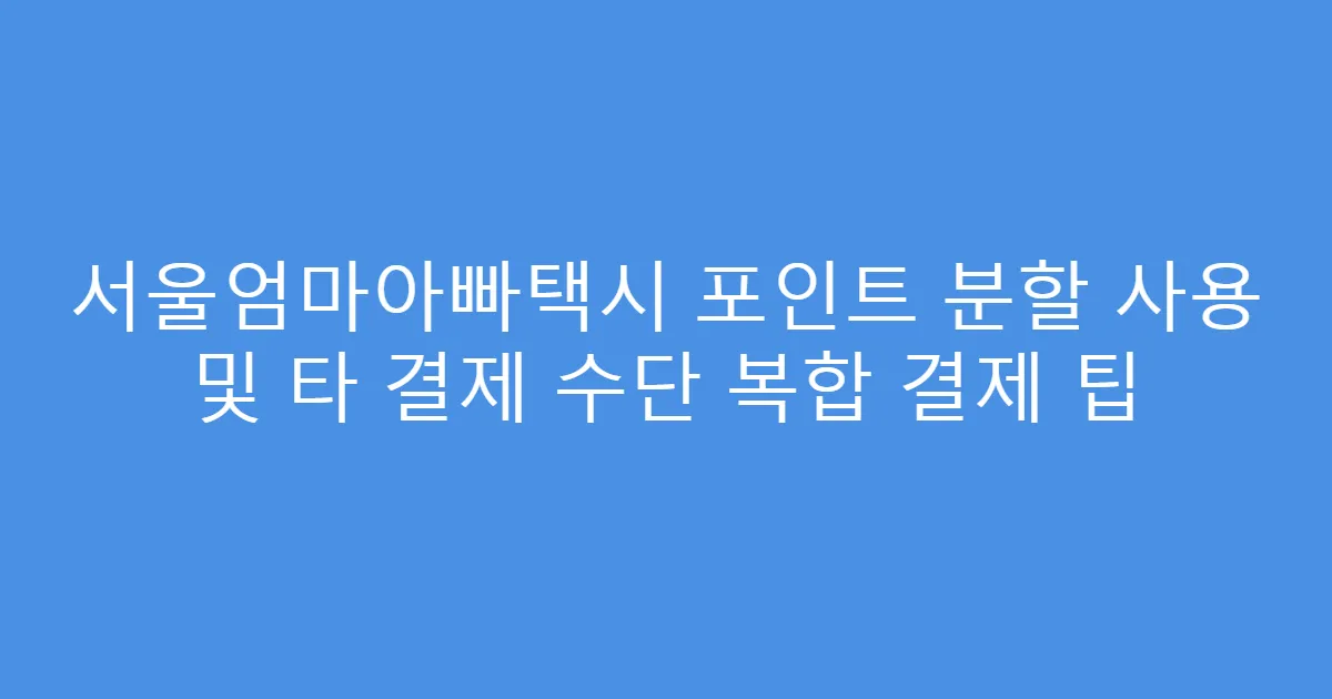 서울엄마아빠택시 포인트 분할 사용 및 타 결제 수단 복합 결제 팁