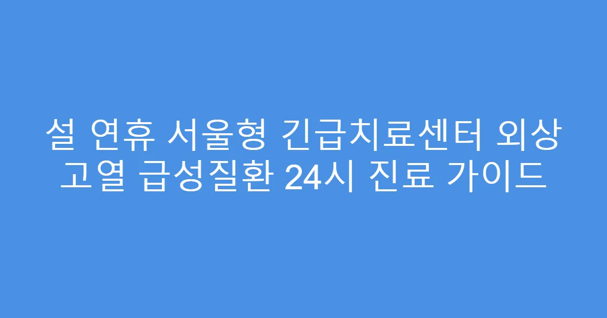 설 연휴 서울형 긴급치료센터 외상 고열 급성질환 24시 진료 가이드