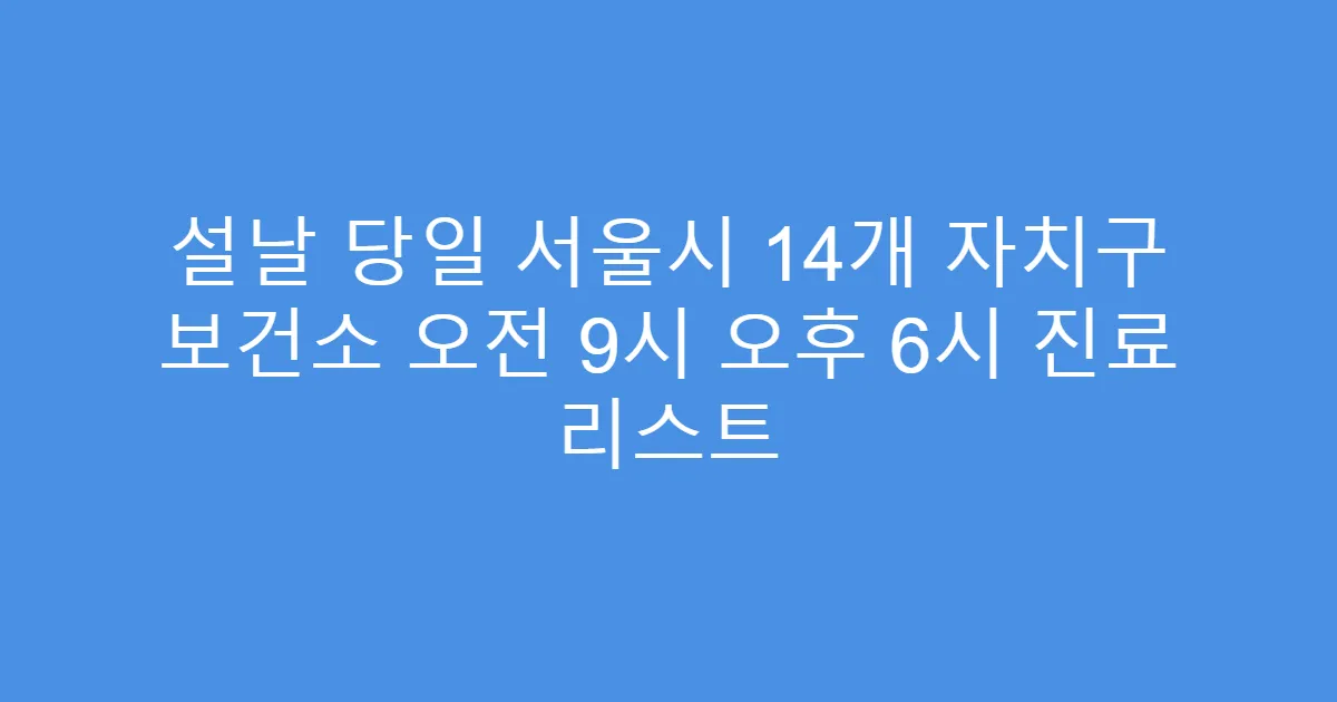 설날 당일 서울시 14개 자치구 보건소 오전 9시 오후 6시 진료 리스트