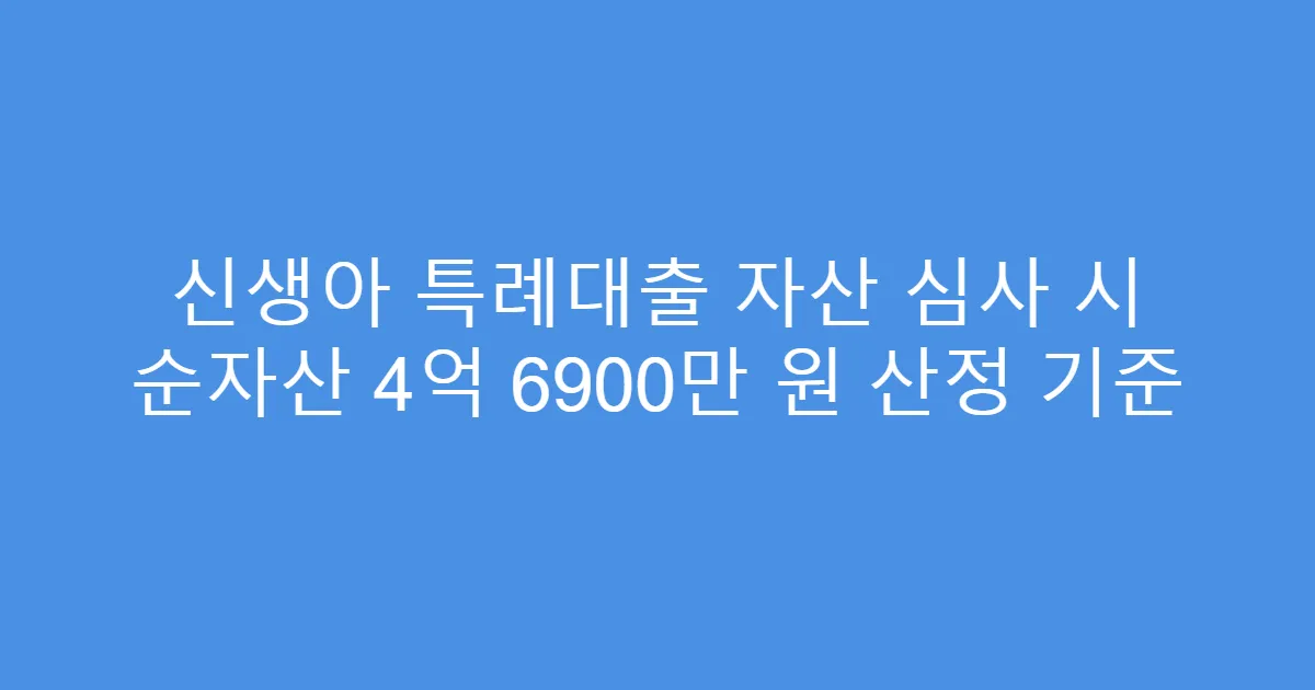 신생아 특례대출 자산 심사 시 순자산 4억 6900만 원 산정 기준