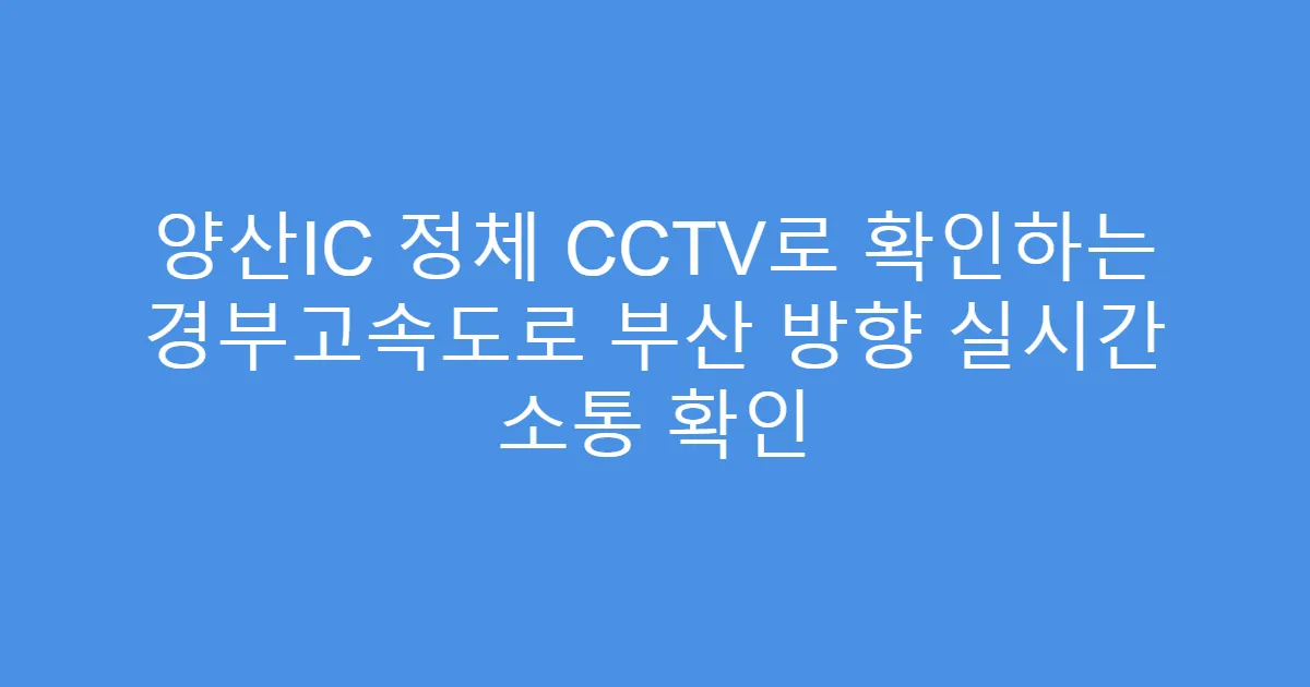 양산IC 정체 CCTV로 확인하는 경부고속도로 부산 방향 실시간 소통 확인