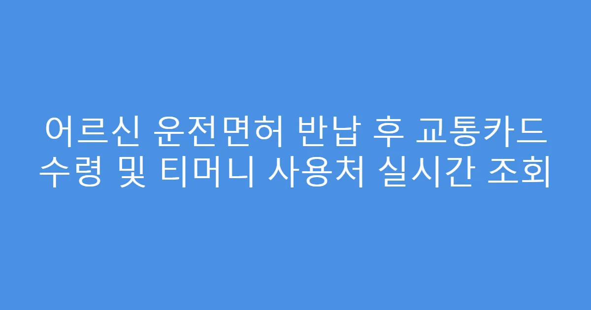 어르신 운전면허 반납 후 교통카드 수령 및 티머니 사용처 실시간 조회