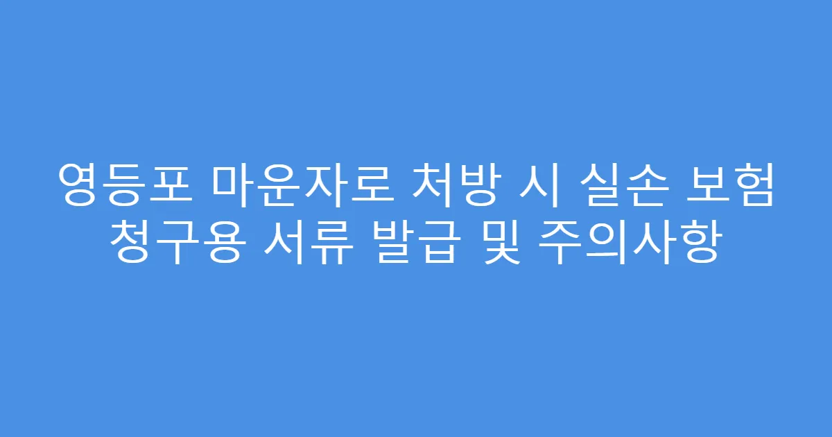 영등포 마운자로 처방 시 실손 보험 청구용 서류 발급 및 주의사항