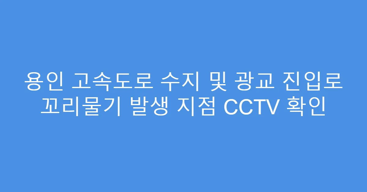 용인 고속도로 수지 및 광교 진입로 꼬리물기 발생 지점 CCTV 확인