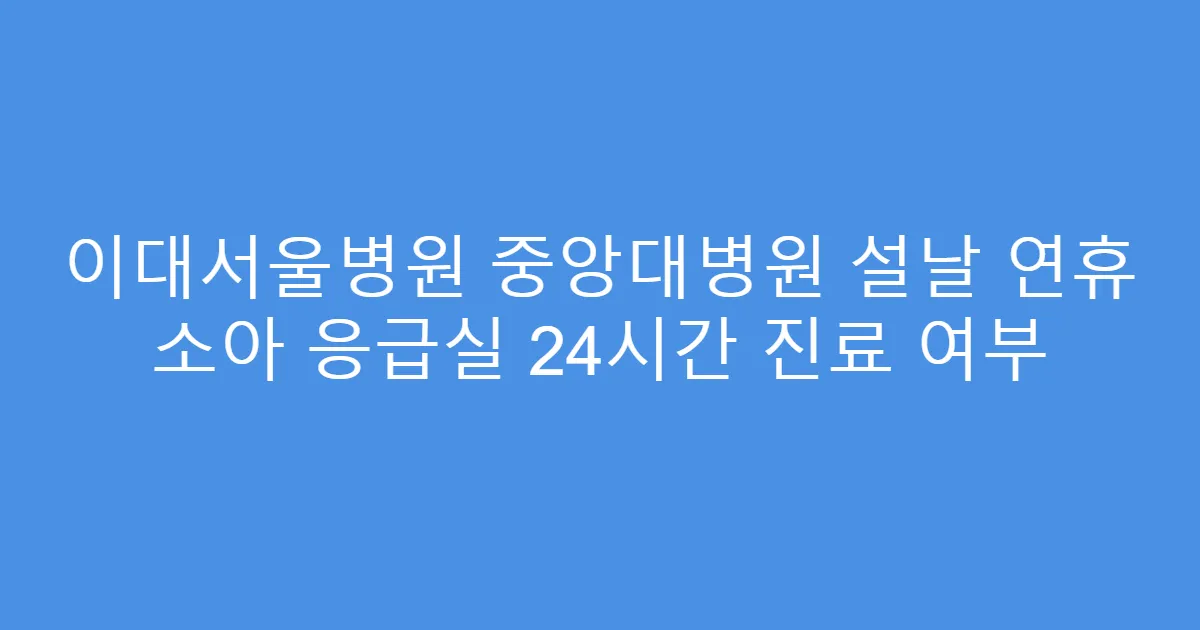 이대서울병원 중앙대병원 설날 연휴 소아 응급실 24시간 진료 여부