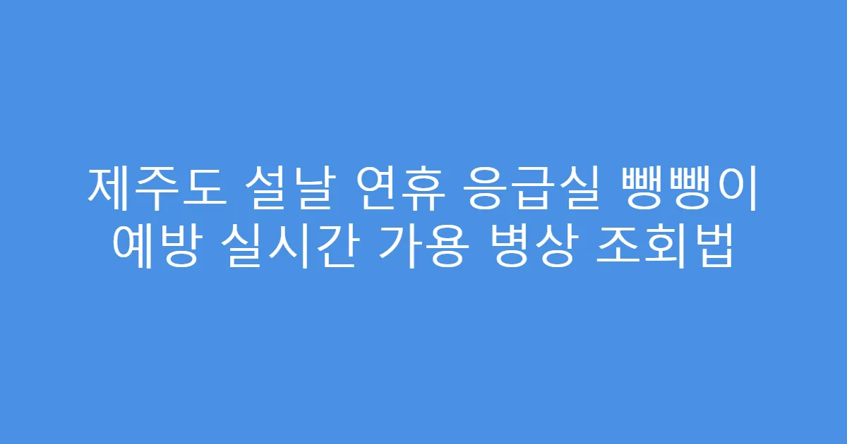 제주도 설날 연휴 응급실 뺑뺑이 예방 실시간 가용 병상 조회법