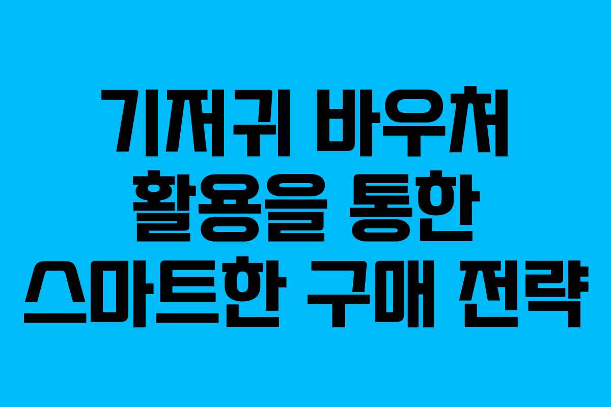기저귀 바우처 활용을 통한 스마트한 구매 전략
