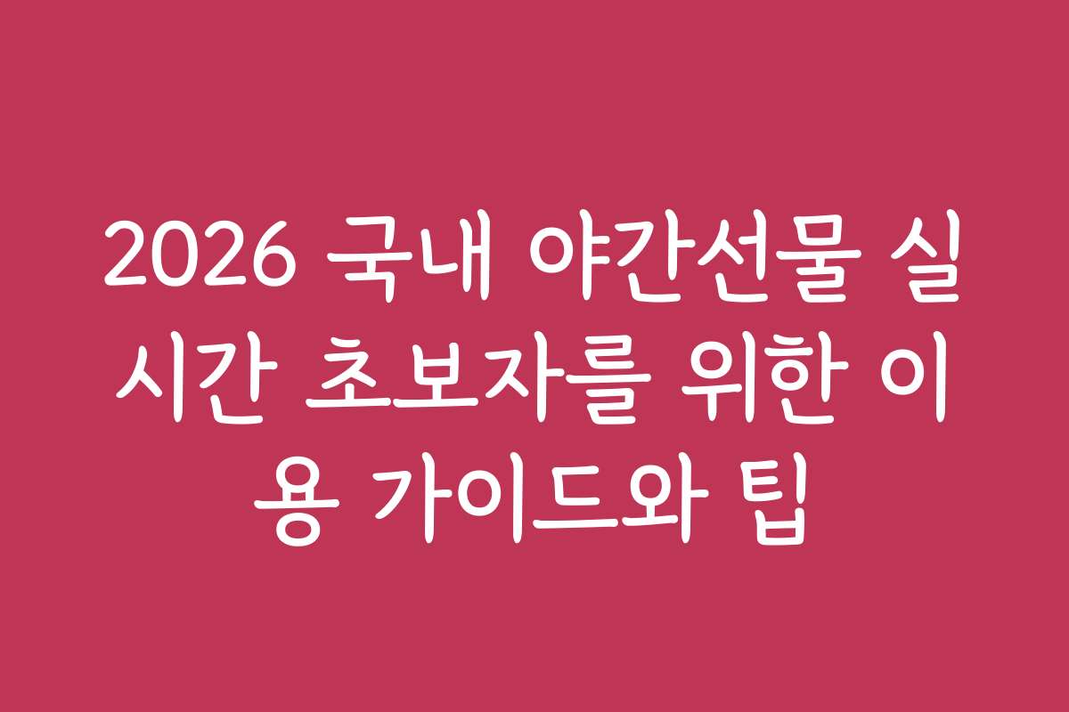 2026 국내 야간선물 실시간 초보자를 위한 이용 가이드와 팁