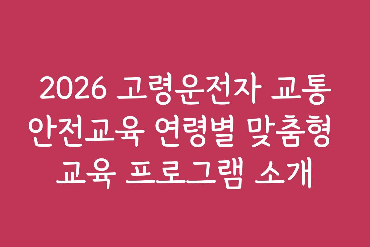 2026 고령운전자 교통안전교육 연령별 맞춤형 교육 프로그램 소개
